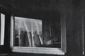 Ming Smith - The Window Overlooking Wheatland Street was My First Dreaming Place, 1979